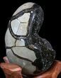 Septarian Dragon Egg Geode - Black Calcite Crystals #33996-3